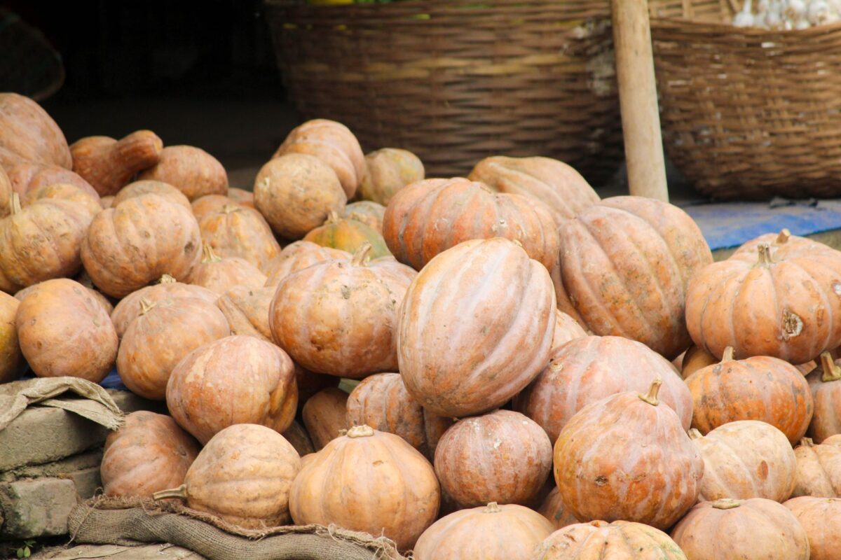 Semaine du Goût 2026 : une 37e édition qui remet les produits de saison au centre de la table